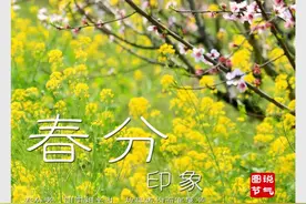 时光相册 | 图说节气：春分印象图片