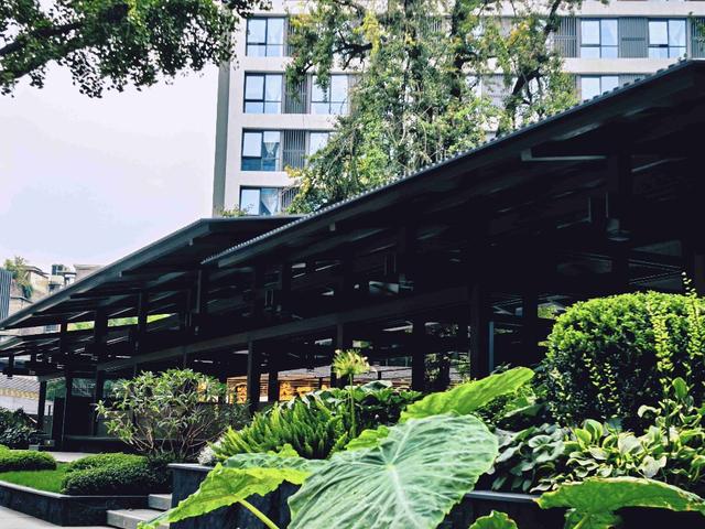 成都城市更新再上新 宽窄巷子片区再添一打卡点