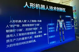 2024WRC记者观察｜具身智能热度高  大模型助力机器人“脑力”升级图片