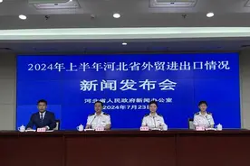 进出口规模创历史同期新高！上半年河北省外贸进出口总值3111亿元人民币图片