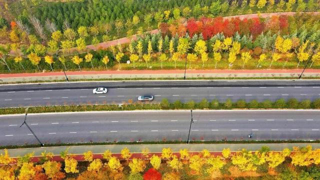 绝绝子！除了绝绝子，我还能怎么夸洛阳