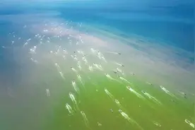 百舸争流——无惧风浪，终有所获图片