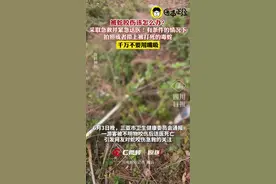 被蛇咬后千万不要用嘴吸！这些急救措施要牢记图片