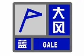 大风、暴雨、雷电……闵行四预警高挂，你那里天黑了吗？图片