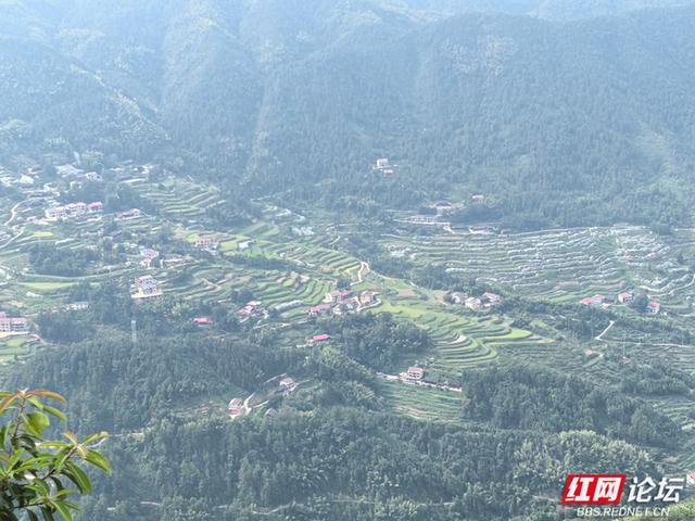 山上烟火起，山下稻金黄｜夏日寻凉九龙山