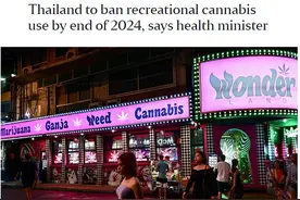 反转！外媒：泰国卫生部门称，希望2024年底前禁止娱乐性使用大麻图片