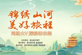 “网络大V探秘神农架”采风启动，第一站遇见国宝大熊猫图片