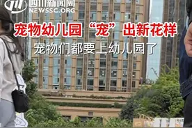 【民情瞭望】“宠”出新花样，猫猫、狗狗都要上幼儿园了？图片