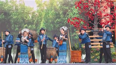 在黎乡，探寻雨林与万物共生