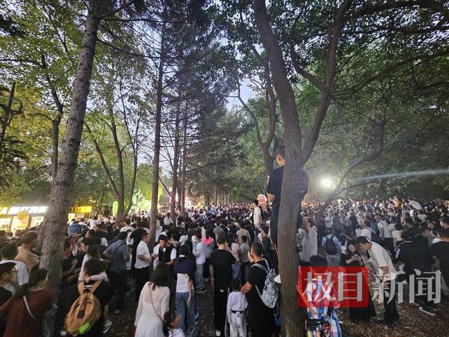万人涌入长春动植物园看“雪饼猴”：家长肩头长满孩子，还有人爬树也要看
