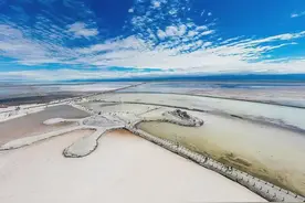 “关税大棒”落下！瑟瑟发抖的锂企如何自救？图片