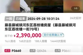 竞价168次，239万成交悔拍，竞买人如何担责？图片