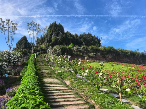 简阳AAA级林盘景区+1！