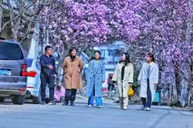 鲁山团城乡：“赏花经济”为乡村振兴“增色添香”图片