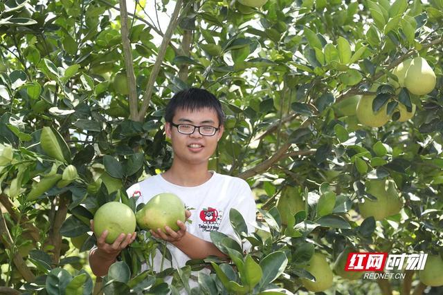 这就是洪江丨我们奔县吧·洪江市篇