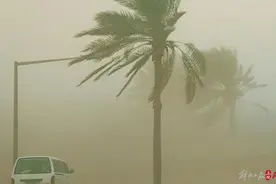 台风蓝色预警！“蝴蝶”13日或在华南两次登陆，这些区域将迎来大暴雨图片