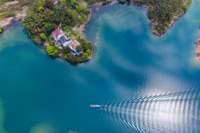 热搜！寒潮收尾！周末最高21℃！来光明东滩源、黄山茶林场兜兜…最低2折特惠！太值了！