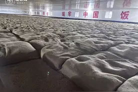 世界粮食日解密“云管粮”  记者探访萧山区中心粮库图片