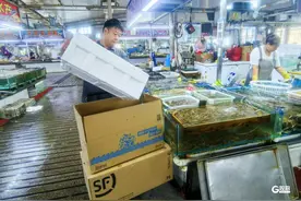 虾蟹享受吸氧服务、跨省最快7小时送达……青岛海鲜这样“邮”向全国图片
