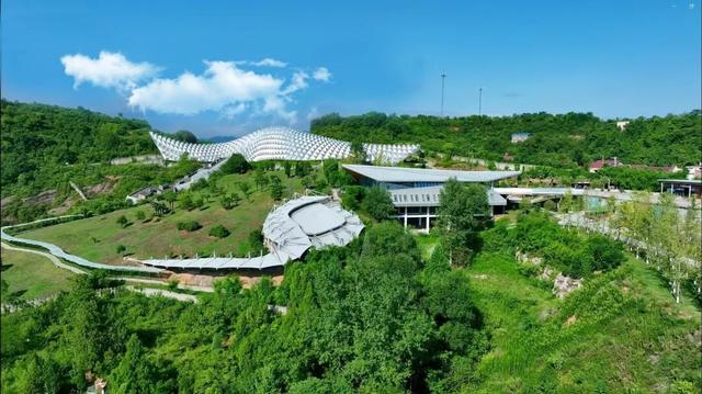 从化石标本到文旅名片，地质遗产活化的“郧阳答案”