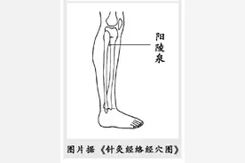 天冷这样护膝！“1个穴位+2款食疗方”舒筋健膝图片