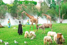 到银基，开启奇妙中秋之旅图片