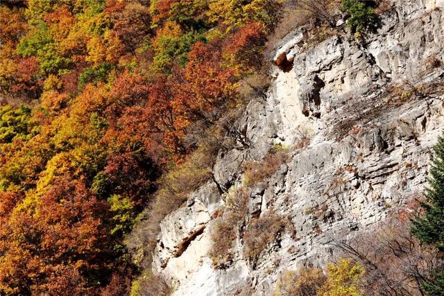 学习强国 | 河北蔚县：山色斑斓别样美