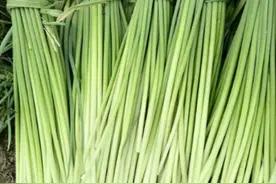 《助力黔货出山关注供求信息》贵州农产品5月供求信息一键查图片