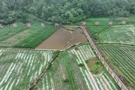 住在毕节这个镇，太省心！图片