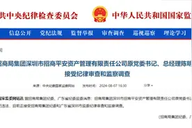招商平安资管原党委书记、总经理陈明理被查图片