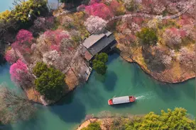 错峰赏梅 西溪湿地发布“小众”新游线图片