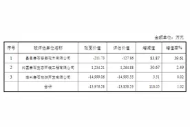 1元钱转让三家公司！美晨科技年内频繁“瘦身”，加速剥离亏损资产图片