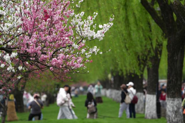 Color Walk、赏味游……这个假期你更爱哪种？