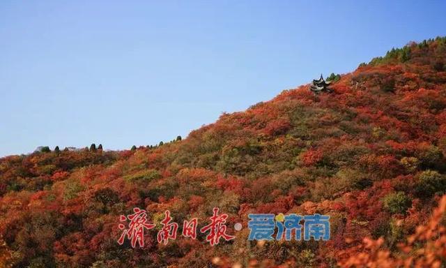 垛庄，乐驰骋：一路欢歌的“乡味乡情”