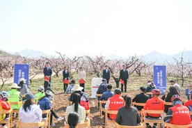 枣庄市山亭区多景区联动 打响春日文旅消费 “组合拳”图片