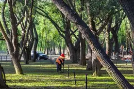哈密：推进生态文明建设，让绿色发展的底色更鲜明图片