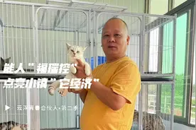 能人“福瑞控”，点亮小镇“它经济”|青春合伙人·第二季图片