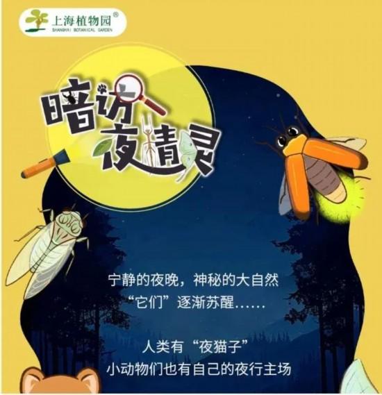上海夏夜限定 去这些地方看萤火虫与夜精灵派对