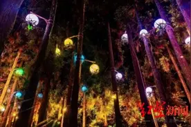 游客破2.6万人次！萤光夜游、天文观测……成都天台山五一活动精彩纷呈图片