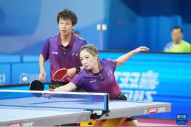 乒乓球——全国锦标赛：林高远/刘诗雯晋级十六强图片