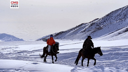新疆：新春临近 “马”元素成为新疆文旅新热点