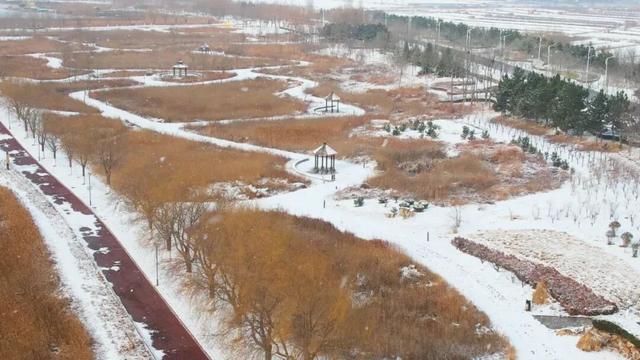 小寒至 来威海南海邂逅一场冬日盛宴