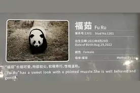 痛心！官方证实：未能渡过难关，因病去世！图片