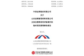 山东宏桥主体及债券信用评级调升至AAA图片