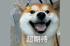 送！送！送！洛天依、A-SOUL……小南请你看全息演唱会图片