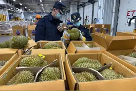 这种水果“贵族”，价格将迎大跳水图片