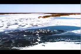 精读威海丨威海旅游缘何爆火出圈？答案就在这里！图片