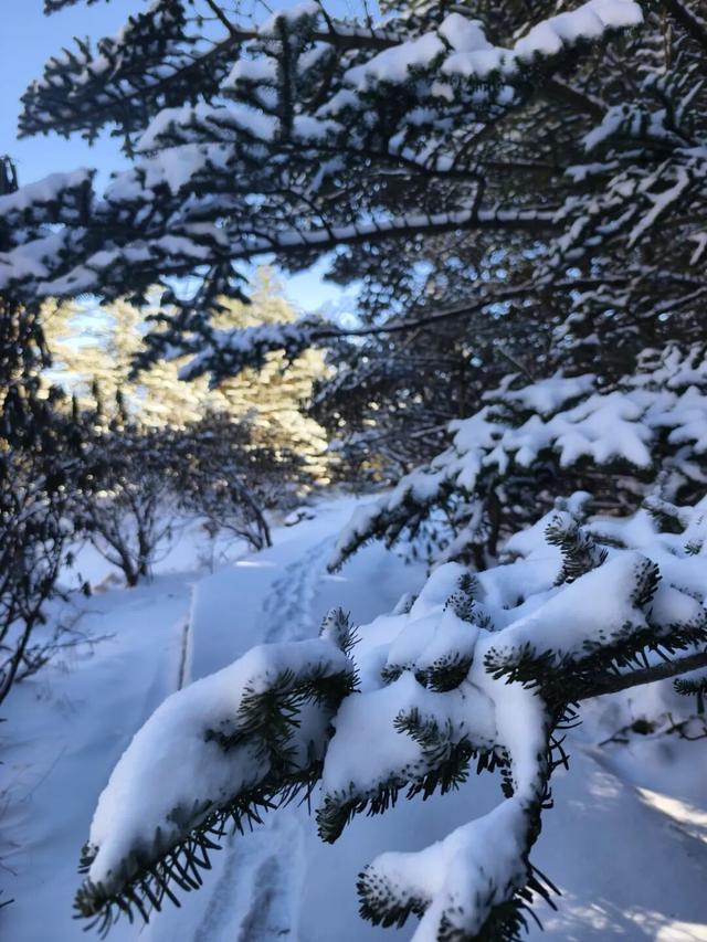 季节限定 | 放松身心，来螺髻山更新一下自己的“保质期”