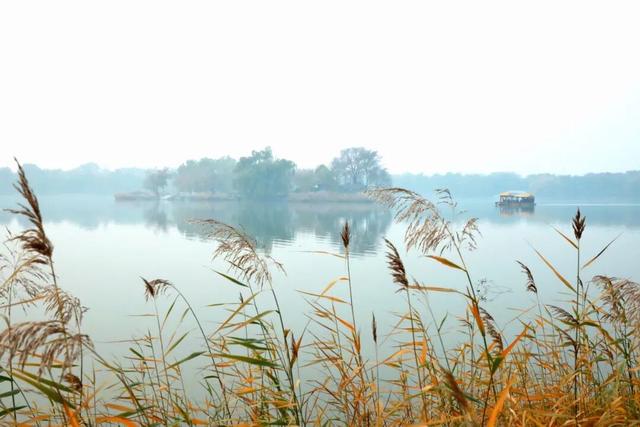 冬天来圆明园看海，邂逅一场宁静！