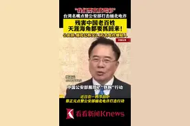 再远也要抓回来！台名嘴点赞公安部打击缅北电诈图片